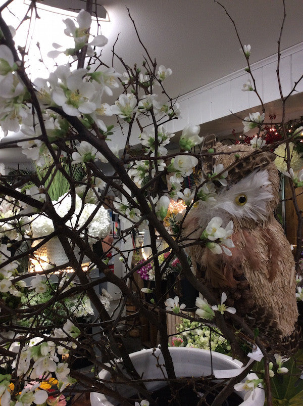 Time To Think Spring Blossoms