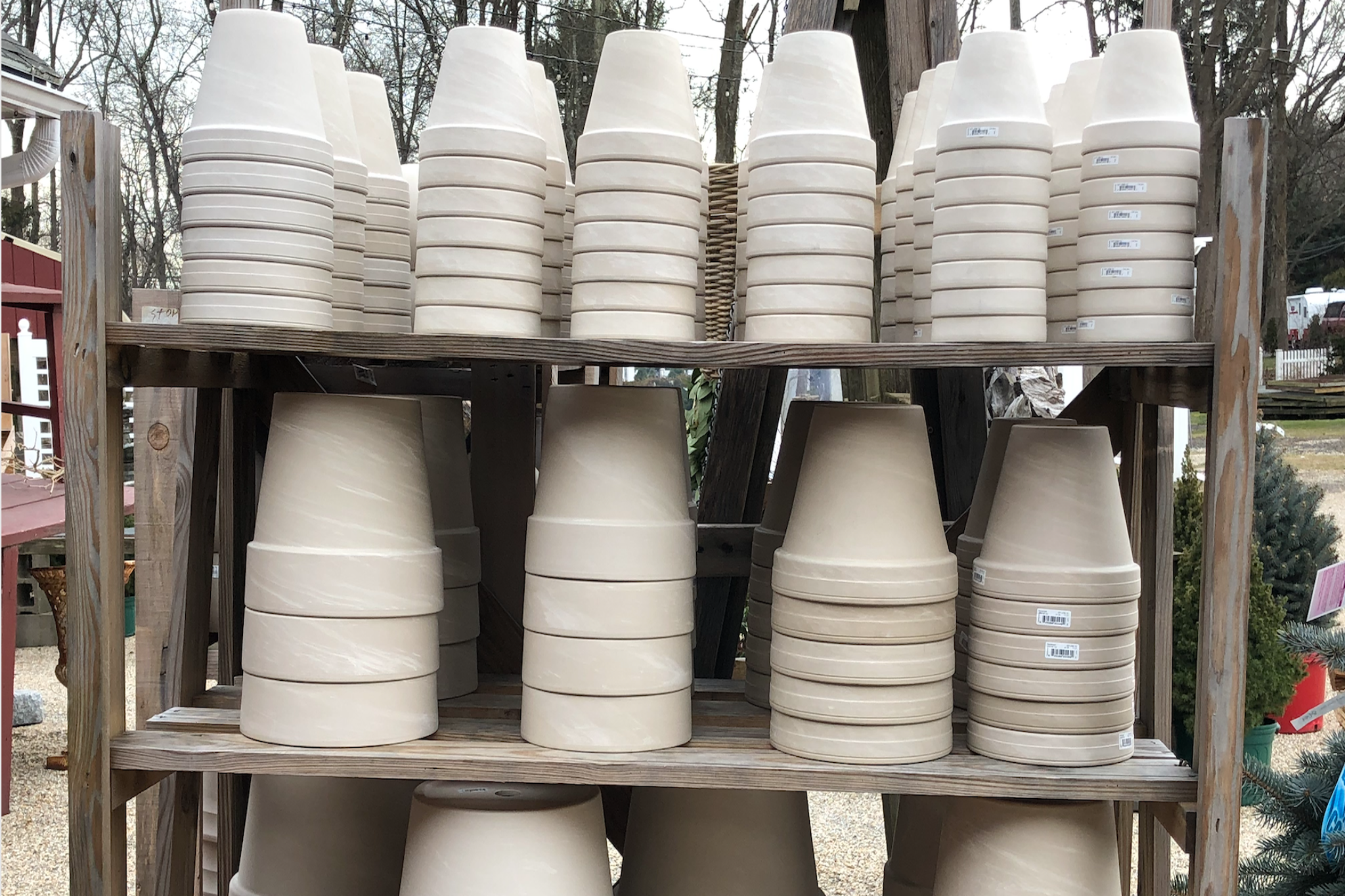 clay pots for plants online White Clay Pots – Madison Flower Shop