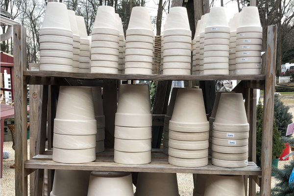 White Clay Pots – Madison Flower Shop
